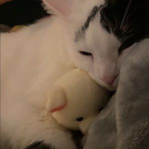 Meet your Posher, Leah